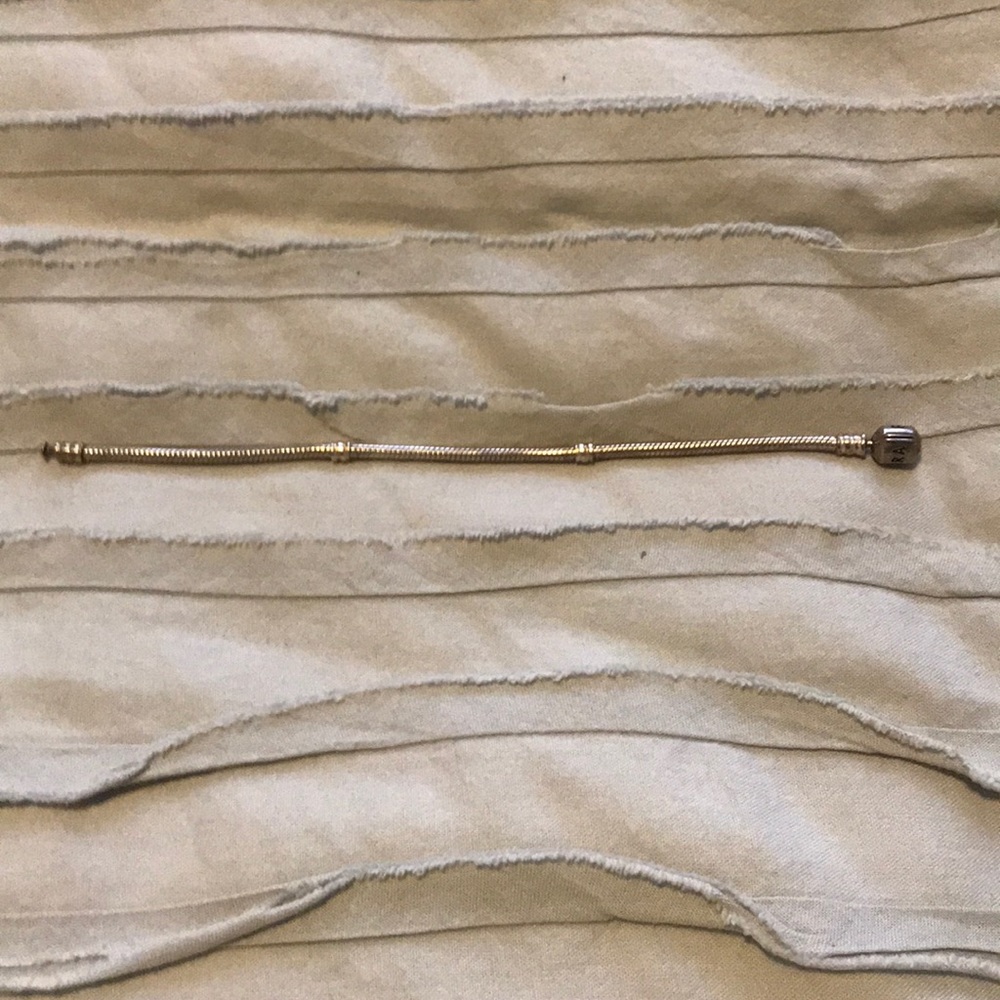 Pandora Charm Bracelet